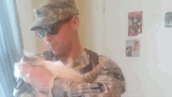 Cat Reunites With Soldier Cat Reunites With Soldier